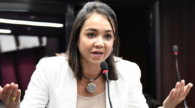 Faride Raful resulta electa senadora del Distrito Nacional